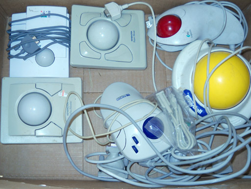 oid01.jpg
